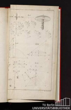Fig. 16 - 26. Taf. II.