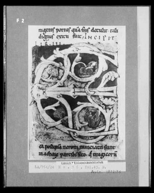 Ms. 16, fol. 43, Initiale E