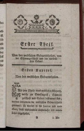 Erstes Kapitel. Von den weiblichen Geburtstheilen.
