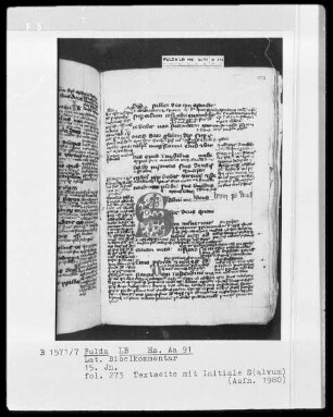 Lateinischer Bibelkommentar — Initiale S(alvum), Folio 273recto