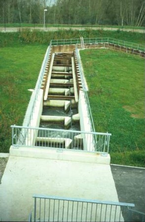 Fischpass Iffezheim/Oberrhein
