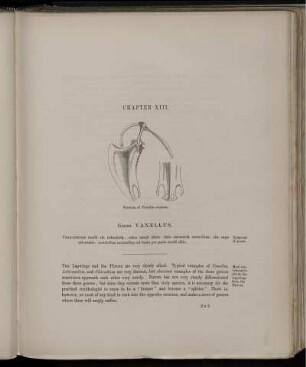 Chapter XIII. Genus Vanellus.