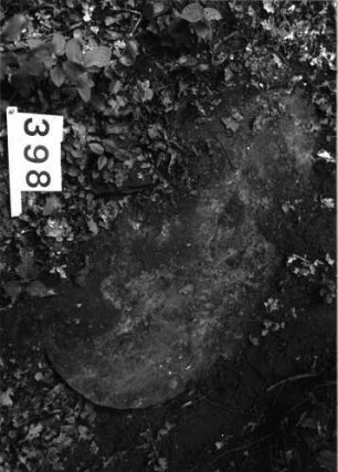 Grabstein 398 (Index: 99897912) Zustand: liegend: Grabstein 398