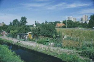 DDR. Neubrandenburg. Kleingärten an einem Wasserarm am Tollensesee. Blick gegen Neubaugebiet