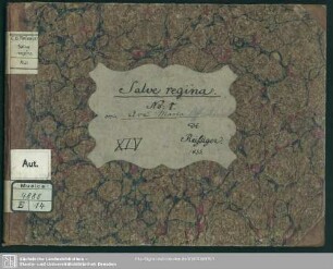 Salve regina - Mus.4888-E-14 : V (4), Coro, orch; FenR 2.15