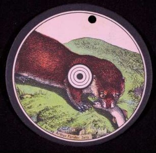 Schießscheibe Otter (Förster/Zeitz)