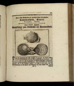 Das eilfte Geschlecht der zwoschalichten Conchylien. Kammmuscheln. Mäntel.