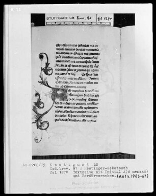Gebetbuch des Konrad Peutinger — Initiale A mit anschließender Ranke, Folio 127verso