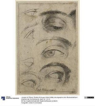Studien für Augen (linke Hälfte) (druckgraphisches Studienblatt zum Erlernen der Zeichenkunst)