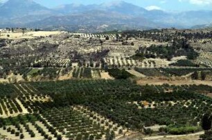 Festos/Phaestos: Palast