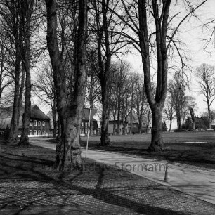 Dorfanger mit Lindenallee: im Hintergrund Häuser