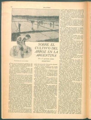 Sobre el cultivo del arroz en la Argentina