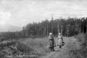Frauen beim Pilze sammeln am Ulansteig : Ulansteig - Verbindungsweg zw. Reitzenhain und Steinbach. Die Mädchen sind auf dem Heimweg, sie haben Pilze gesucht (um 1813 soll hier ein polnischer Ulan im Moor umgekommen sein)