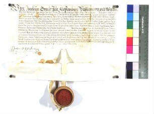 Joachim Graf von Fürstenberg zu Heiligenberg belehnt Sebastian Schertel von Burtenbach, Ritter, mit dem Hof zu Burtenbach gelegen.