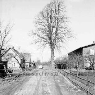 Dorfstraße mit Bauernhäusern: hinten Pkw: in der Mitte Baum