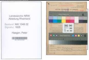 Entnazifizierung Peter Haegen , geb. 07.06.1886 (Kaufmann)