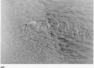 Überflutung bei AS Stuttgart-Leonberg durch Hochwasser der Glems