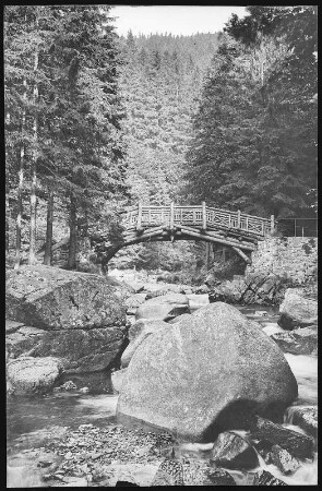 Okertal. Brücke zur Oker Insel