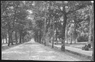 Baden-Baden. Lichtenthaler Allee