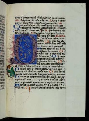 Zierinitiale (Psalm 79): Q(ui regis)