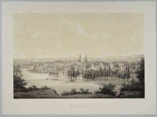 Stadtansicht von Zwickau in Sachsen von Nordosten über die Zwickauer Mulde
