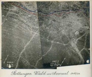 Foto von Stellungen im Wald von Avocourt (Luftbild)