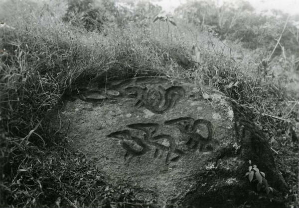 Donama, dans la Sierra du nord-ouest. Vestiges de la culture Tairona