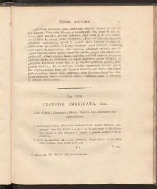 Tab. XVIII: Testudo Imbricata. Linn.