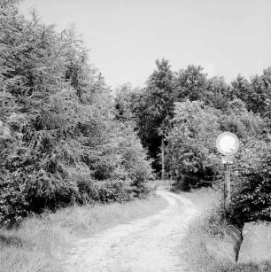 Hahnheide: Fußweg: rechts Verkehrsschild: hinten Bäume
