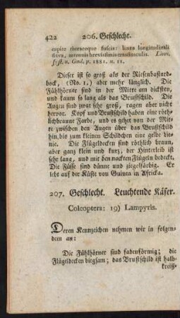 207. Geschlecht. Leuchtende Käfer