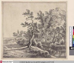 [Eine kurvige Straße, links ein See mit Schilf; The curved road]