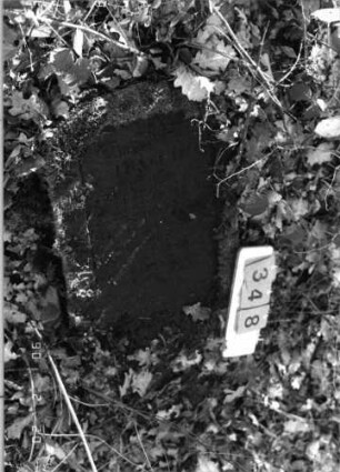 Grabstein 348
