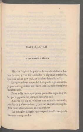 Capítulo XII - Lo que sucedió á Martin.