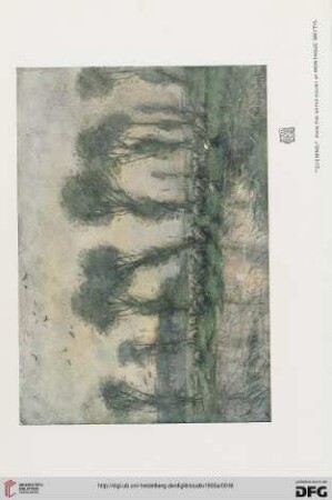 Nr. 143 (February 1905)
