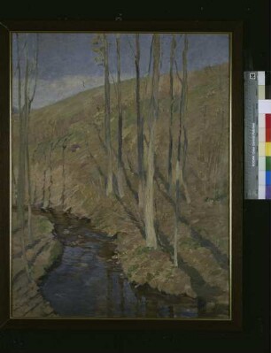 Studie zu "Vorfrühling am Bach"