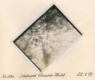 Foto des Geländes am Südrand des Chaume-Waldes (Luftbild)