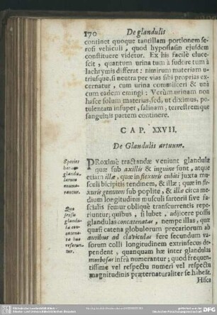 Cap. XXVII. De Glandulis artuum