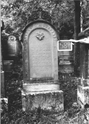 Grabstein 589 (Index: 99895362) Material: Sandstein Zustand: gut Maße HxBxT: 175x57x20 cm Beschreibung: Stele mit Rundbogenabschluss, kleiner Verdachung und Mittelakroter; Sockel Symbolik: Blüte: Grabstein 589 (1)