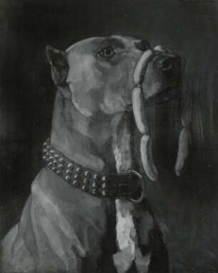 Dogge
