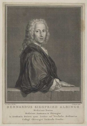 Bildnis des Bernardus Siegfried Albinus