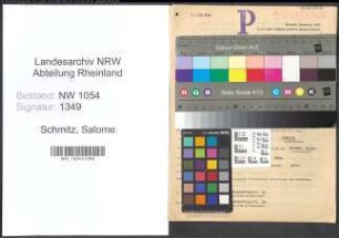 Entnazifizierung Salome Schmitz , geb. 18.12.1884 ()
