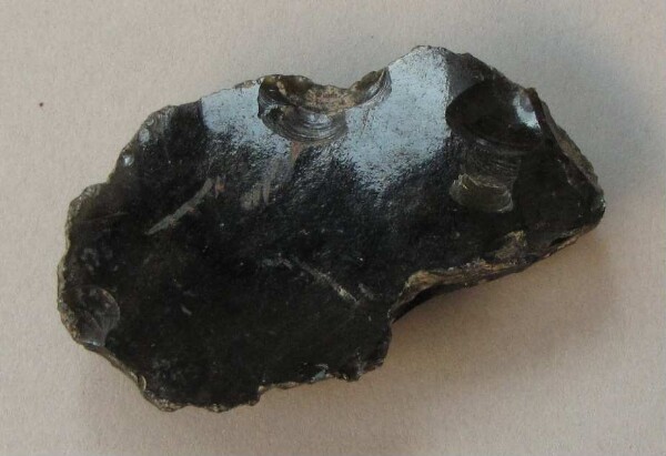 Obsidian tip