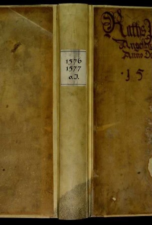 Ratsprotokolle, 1576 Juli 31. - 1577 Juli 28.