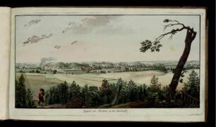 Gegend von Muskau in der Oberlausitz.