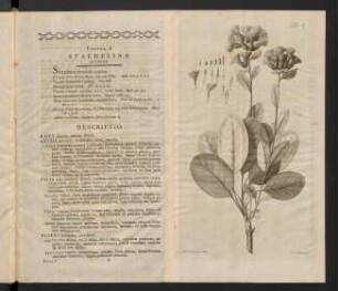 1-20, Text mit Abbildungen