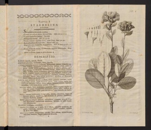 1-20, Text mit Abbildungen