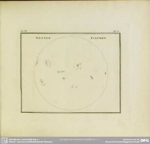 Fig. III. Sonnenflecken