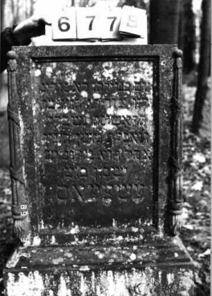 Grabstein 677 (Index: 99752405) Material: Sandstein Zustand: Abschluß fehlt, sonst gut Maße HxBxT: 119x59x52 cm Beschreibung: Stele, getreppter Sockel, rechteckige Schriftfelder eingetieft Symbolik: gesenkte Fackeln: Grabstein 677B