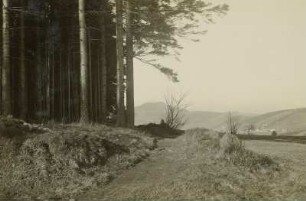 Altenberg-Geising, vom Fuß der Wettinhöhe gesehen