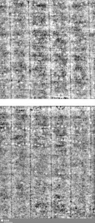 Lilienschild + IESV / LW = S.17/18+27/28